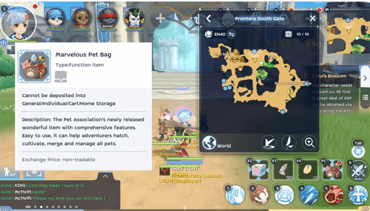 Pet capture interface showing capture food items in Ragnarok M Classic