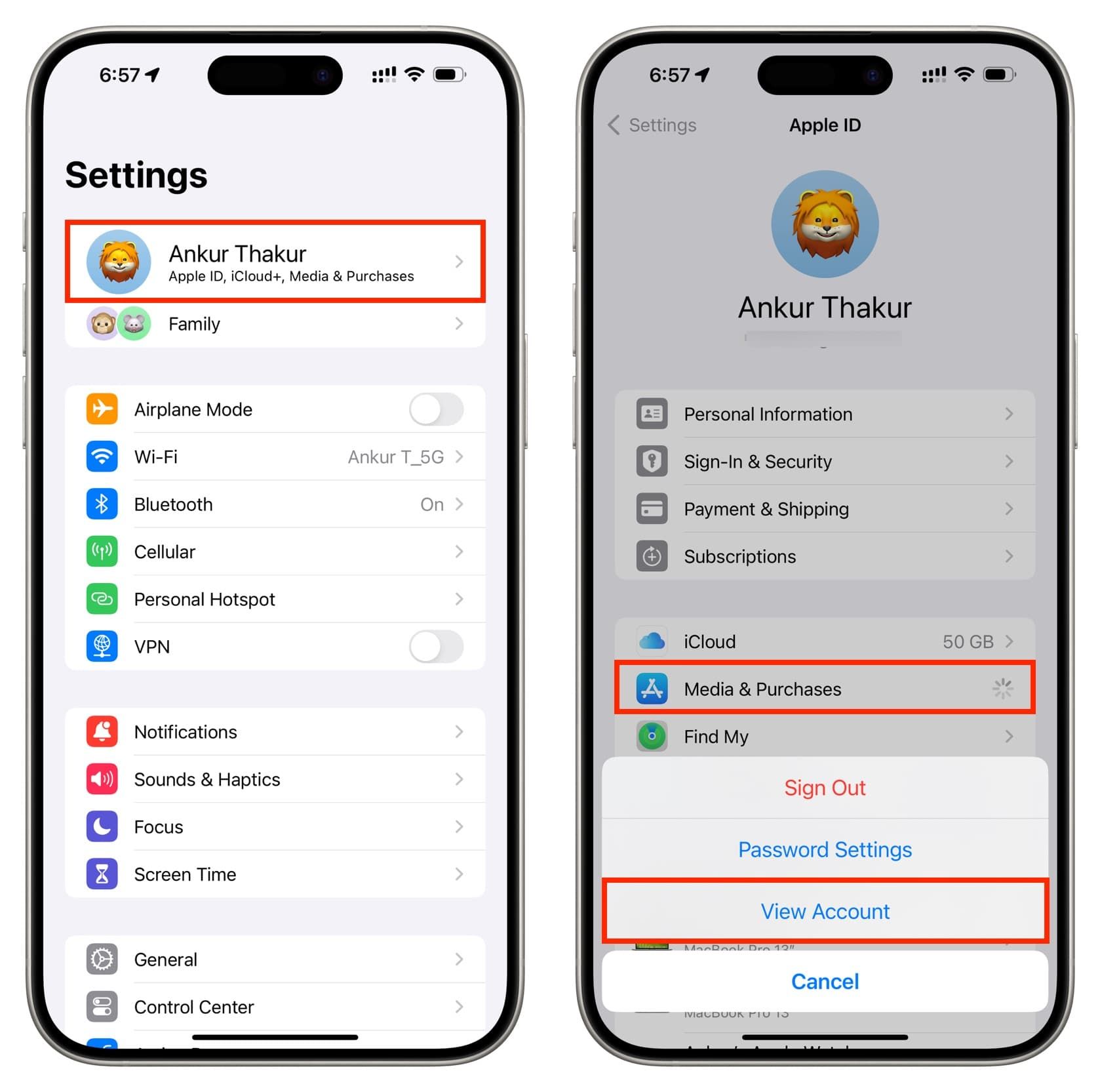 iOS Settings screen showing Media and Purchases account overview balance
