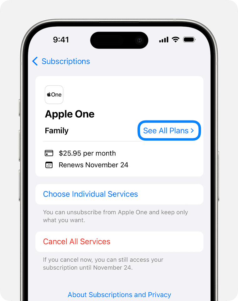 Apple services subscription management screen on iOS